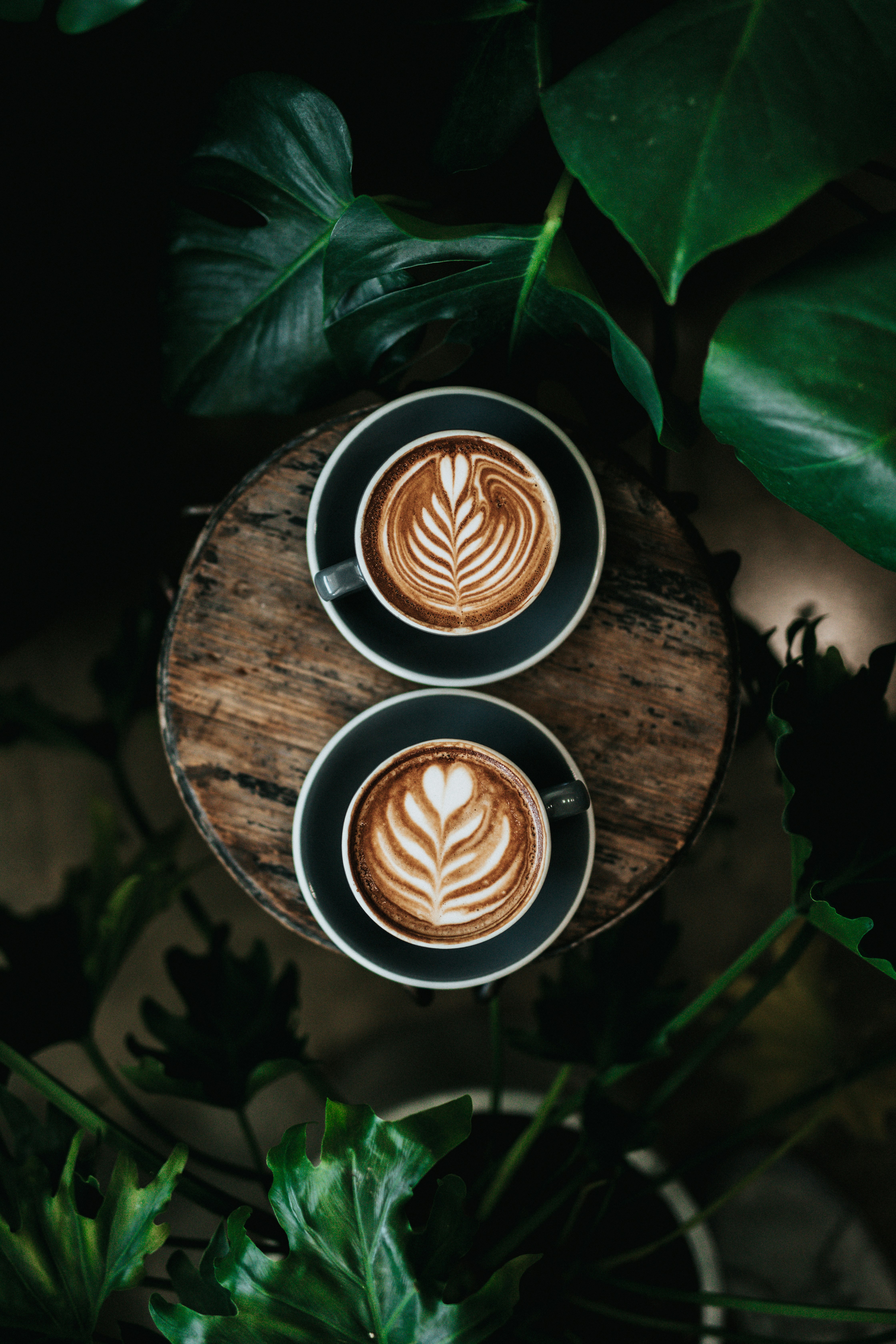 Kikuya Coffee and Pastries
